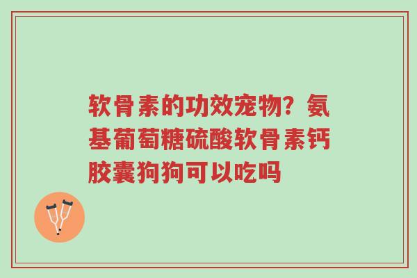 软骨素的功效宠物?氨基葡萄糖硫酸软骨素钙胶囊狗狗可以吃吗-第1张图片-超越 软骨素的功效宠物?氨基葡萄糖硫酸软骨素钙胶囊狗狗可以吃吗-第1张图片-超越