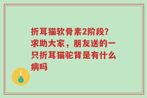 折耳猫软骨素2阶段?求助大家,朋友送的一只折耳猫驼背是有什么病吗-第1张图片-超越 折耳猫软骨素2阶段?求助大家,朋友送的一只折耳猫驼背是有什么病吗-第1张图片-超越