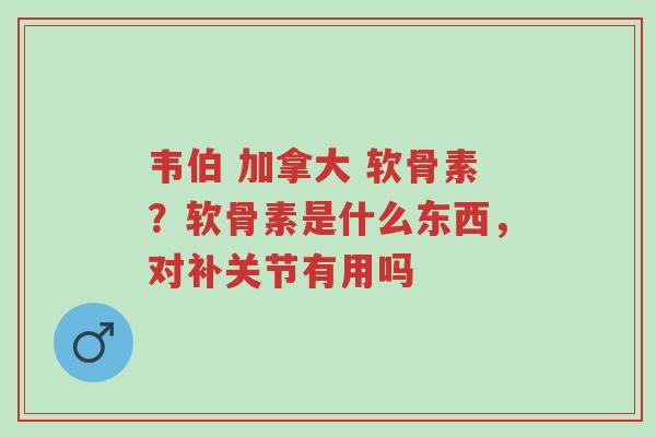 韦伯 加拿大 软骨素?软骨素是什么东西,对补关节有用吗-第1张图片-超越 韦伯 加拿大 软骨素?软骨素是什么东西,对补关节有用吗-第1张图片-超越
