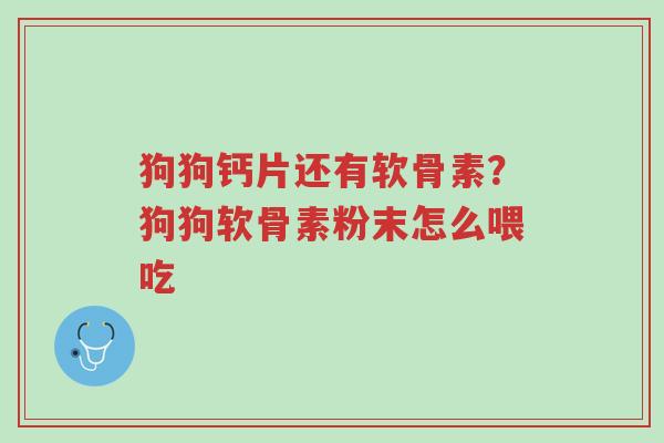 狗狗钙片还有软骨素?狗狗软骨素粉末怎么喂吃-第1张图片-超越 狗狗钙片还有软骨素?狗狗软骨素粉末怎么喂吃-第1张图片-超越