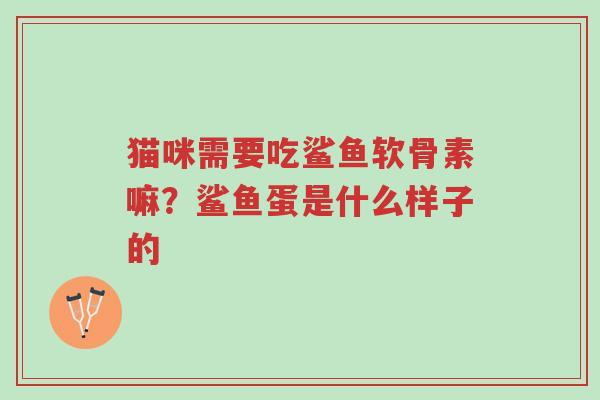 猫咪需要吃鲨鱼软骨素嘛?鲨鱼蛋是什么样子的-第1张图片-超越 猫咪需要吃鲨鱼软骨素嘛?鲨鱼蛋是什么样子的-第1张图片-超越