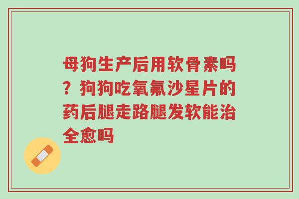 母狗生产后用软骨素吗?狗狗吃氧氟沙星片的药后腿走路腿发软能治全愈吗-第1张图片-超越 母狗生产后用软骨素吗?狗狗吃氧氟沙星片的药后腿走路腿发软能治全愈吗-第1张图片-超越