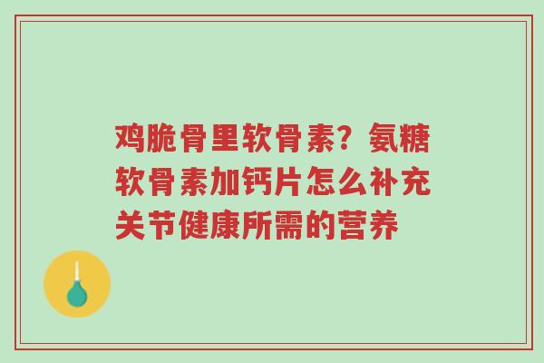 鸡脆骨里软骨素?氨糖软骨素加钙片怎么补充关节健康所需的营养-第1张图片-超越 鸡脆骨里软骨素?氨糖软骨素加钙片怎么补充关节健康所需的营养-第1张图片-超越
