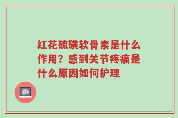 红花硫磺软骨素是什么作用?感到关节疼痛是什么原因如何护理-第1张图片-超越 红花硫磺软骨素是什么作用?感到关节疼痛是什么原因如何护理-第1张图片-超越