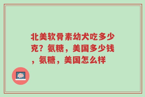 北美软骨素幼犬吃多少克?氨糖,美国多少钱,氨糖,美国怎么样-第1张图片-超越 北美软骨素幼犬吃多少克?氨糖,美国多少钱,氨糖,美国怎么样-第1张图片-超越