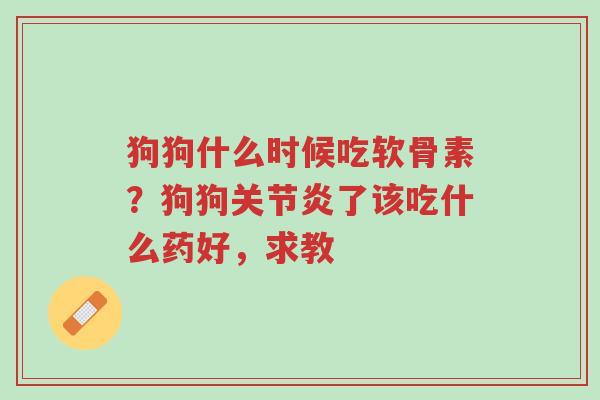 狗狗什么时候吃软骨素?狗狗关节炎了该吃什么药好,求教-第1张图片-超越 狗狗什么时候吃软骨素?狗狗关节炎了该吃什么药好,求教-第1张图片-超越
