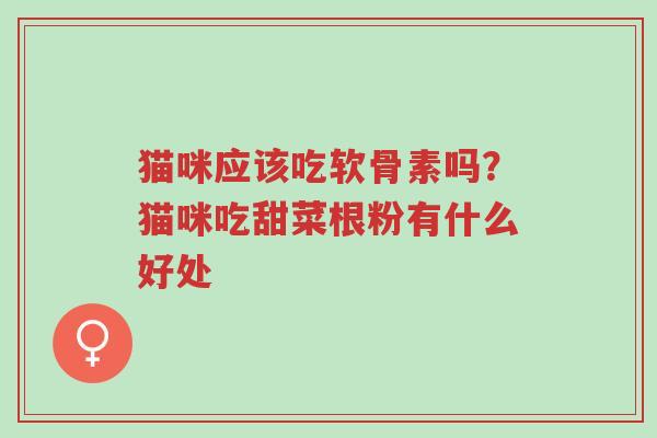 猫咪应该吃软骨素吗?猫咪吃甜菜根粉有什么好处-第1张图片-超越 猫咪应该吃软骨素吗?猫咪吃甜菜根粉有什么好处-第1张图片-超越