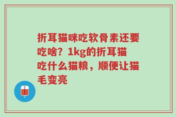 折耳猫咪吃软骨素还要吃啥?1kg的折耳猫吃什么猫粮,顺便让猫毛变亮-第1张图片-超越 折耳猫咪吃软骨素还要吃啥?1kg的折耳猫吃什么猫粮,顺便让猫毛变亮-第1张图片-超越