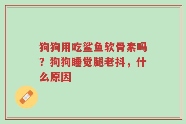 狗狗用吃鲨鱼软骨素吗?狗狗睡觉腿老抖,什么原因-第1张图片-超越 狗狗用吃鲨鱼软骨素吗?狗狗睡觉腿老抖,什么原因-第1张图片-超越