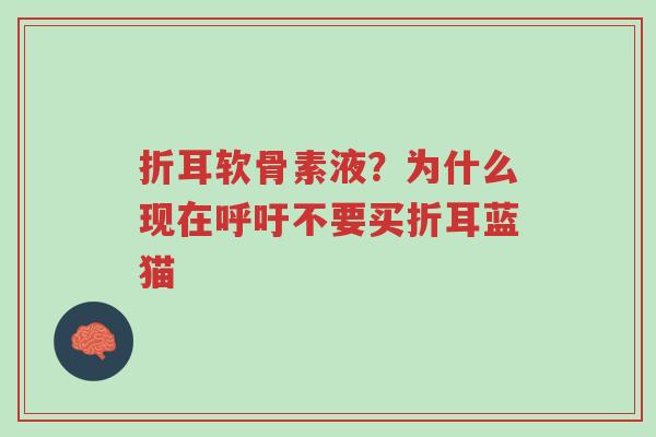 折耳软骨素液?为什么现在呼吁不要买折耳蓝猫-第1张图片-超越 折耳软骨素液?为什么现在呼吁不要买折耳蓝猫-第1张图片-超越