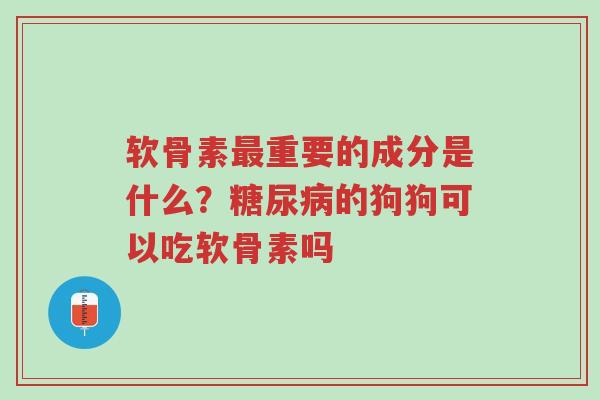 软骨素最重要的成分是什么?糖尿病的狗狗可以吃软骨素吗-第1张图片-超越 软骨素最重要的成分是什么?糖尿病的狗狗可以吃软骨素吗-第1张图片-超越