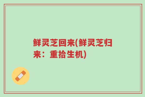 鲜灵芝回来(鲜灵芝归来:重拾生机)-第1张图片-超越 鲜灵芝回来(鲜灵芝归来:重拾生机)-第1张图片-超越