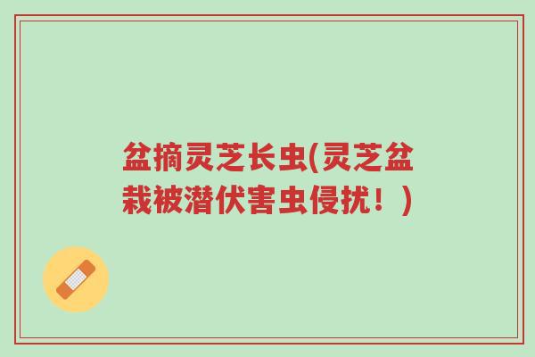 盆摘灵芝长虫(灵芝盆栽被潜伏害虫侵扰!)-第1张图片-超越 盆摘灵芝长虫(灵芝盆栽被潜伏害虫侵扰!)-第1张图片-超越