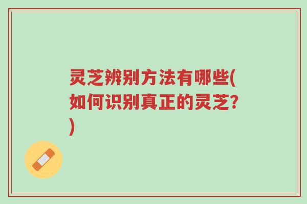 灵芝辨别方法有哪些(如何识别真正的灵芝?)-第1张图片-超越 灵芝辨别方法有哪些(如何识别真正的灵芝?)-第1张图片-超越
