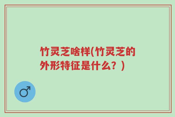 竹灵芝啥样(竹灵芝的外形特征是什么?)-第1张图片-超越 竹灵芝啥样(竹灵芝的外形特征是什么?)-第1张图片-超越