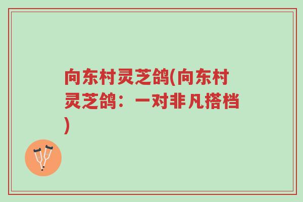 向东村灵芝鸽(向东村灵芝鸽:一对非凡搭档)-第1张图片-超越 向东村灵芝鸽(向东村灵芝鸽:一对非凡搭档)-第1张图片-超越
