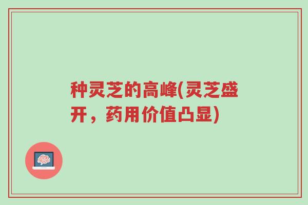 种灵芝的高峰(灵芝盛开,药用价值凸显)-第1张图片-超越 种灵芝的高峰(灵芝盛开,药用价值凸显)-第1张图片-超越
