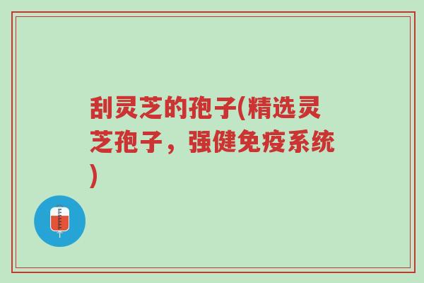 刮灵芝的孢子(精选灵芝孢子,强健免疫系统)-第1张图片-超越 刮灵芝的孢子(精选灵芝孢子,强健免疫系统)-第1张图片-超越