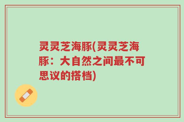 灵灵芝海豚(灵灵芝海豚:大自然之间最不可思议的搭档)-第1张图片-超越 灵灵芝海豚(灵灵芝海豚:大自然之间最不可思议的搭档)-第1张图片-超越