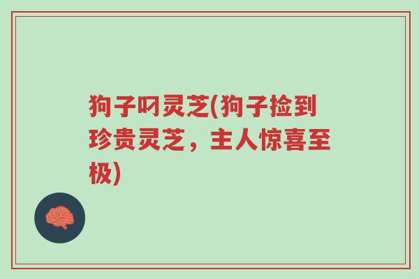 狗子叼灵芝(狗子捡到珍贵灵芝,主人惊喜至极)-第1张图片-超越 狗子叼灵芝(狗子捡到珍贵灵芝,主人惊喜至极)-第1张图片-超越