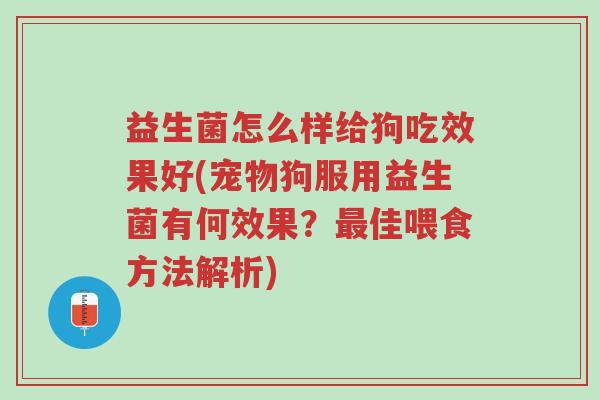 益生菌怎么样给狗吃效果好(宠物狗服用益生菌有何效果？最佳喂食方法解析)-第1张图片-超越