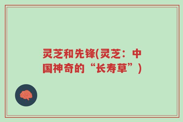 灵芝和先锋(灵芝:中国神奇的“长寿草”)-第1张图片-超越 灵芝和先锋(灵芝:中国神奇的“长寿草”)-第1张图片-超越