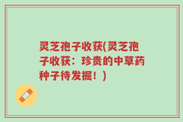 灵芝孢子收获(灵芝孢子收获:珍贵的中草药种子待发掘!)-第1张图片-超越 灵芝孢子收获(灵芝孢子收获:珍贵的中草药种子待发掘!)-第1张图片-超越