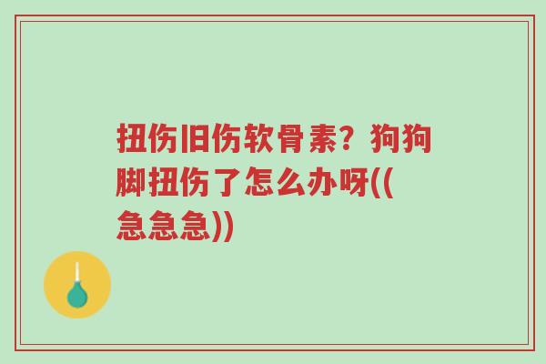 扭伤旧伤软骨素?狗狗脚扭伤了怎么办呀((急急急))-第1张图片-超越 扭伤旧伤软骨素?狗狗脚扭伤了怎么办呀((急急急))-第1张图片-超越