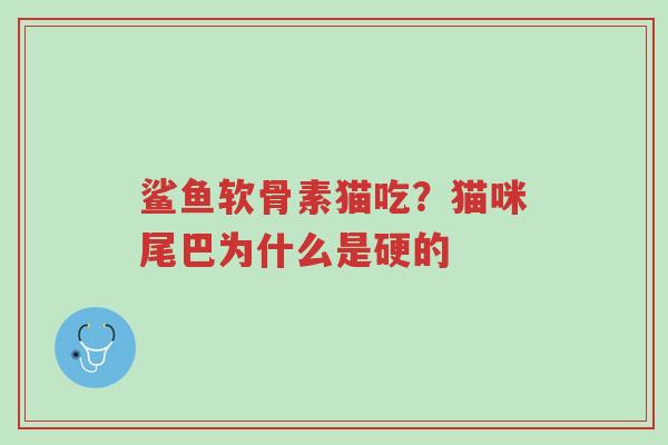 鲨鱼软骨素猫吃?猫咪尾巴为什么是硬的-第1张图片-超越 鲨鱼软骨素猫吃?猫咪尾巴为什么是硬的-第1张图片-超越