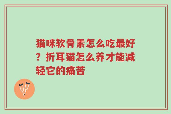 猫咪软骨素怎么吃最好？折耳猫怎么养才能减轻它的痛苦-第1张图片-超越
