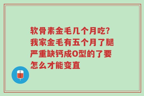 软骨素金毛几个月吃?我家金毛有五个月了腿严重缺钙成O型的了要怎么才能变直-第1张图片-超越 软骨素金毛几个月吃?我家金毛有五个月了腿严重缺钙成O型的了要怎么才能变直-第1张图片-超越