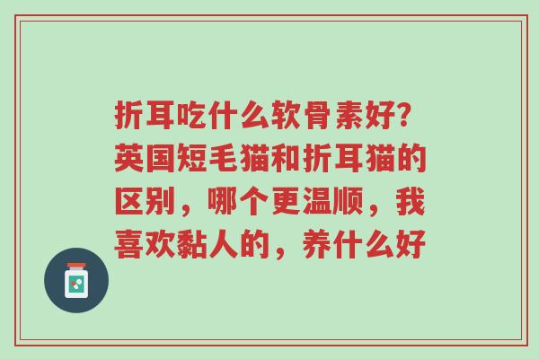 折耳吃什么软骨素好?英国短毛猫和折耳猫的区别,哪个更温顺,我喜欢黏人的,养什么好-第1张图片-超越 折耳吃什么软骨素好?英国短毛猫和折耳猫的区别,哪个更温顺,我喜欢黏人的,养什么好-第1张图片-超越