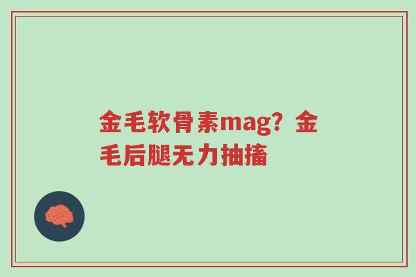 金毛软骨素mag?金毛后腿无力抽搐-第1张图片-超越 金毛软骨素mag?金毛后腿无力抽搐-第1张图片-超越