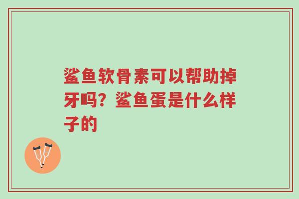 鲨鱼软骨素可以帮助掉牙吗?鲨鱼蛋是什么样子的-第1张图片-超越 鲨鱼软骨素可以帮助掉牙吗?鲨鱼蛋是什么样子的-第1张图片-超越