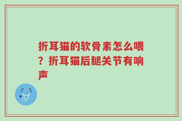 折耳猫的软骨素怎么喂?折耳猫后腿关节有响声-第1张图片-超越 折耳猫的软骨素怎么喂?折耳猫后腿关节有响声-第1张图片-超越