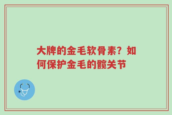 大牌的金毛软骨素?如何保护金毛的髋关节-第1张图片-超越 大牌的金毛软骨素?如何保护金毛的髋关节-第1张图片-超越