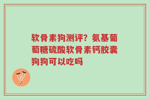 软骨素狗测评?氨基葡萄糖硫酸软骨素钙胶囊狗狗可以吃吗-第1张图片-超越 软骨素狗测评?氨基葡萄糖硫酸软骨素钙胶囊狗狗可以吃吗-第1张图片-超越