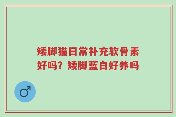 矮脚猫日常补充软骨素好吗?矮脚蓝白好养吗-第1张图片-超越 矮脚猫日常补充软骨素好吗?矮脚蓝白好养吗-第1张图片-超越
