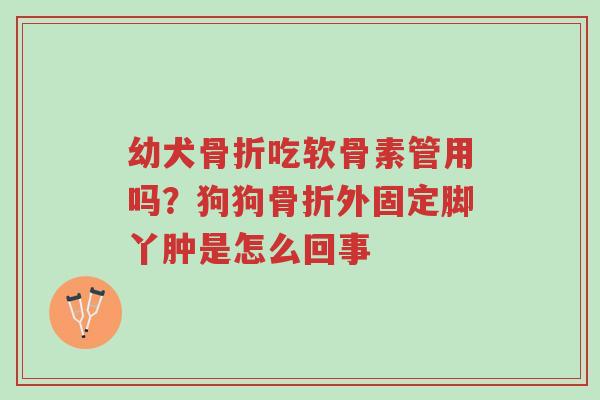 幼犬骨折吃软骨素管用吗?狗狗骨折外固定脚丫肿是怎么回事-第1张图片-超越 幼犬骨折吃软骨素管用吗?狗狗骨折外固定脚丫肿是怎么回事-第1张图片-超越