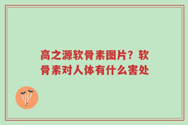 高之源软骨素图片?软骨素对人体有什么害处-第1张图片-超越 高之源软骨素图片?软骨素对人体有什么害处-第1张图片-超越