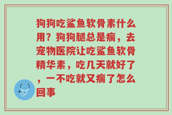 狗狗吃鲨鱼软骨素什么用?狗狗腿总是瘸,去宠物医院让吃鲨鱼软骨精华素,吃几天就好了,一不吃就又瘸了怎么回事-第1张图片-超越 狗狗吃鲨鱼软骨素什么用?狗狗腿总是瘸,去宠物医院让吃鲨鱼软骨精华素,吃几天就好了,一不吃就又瘸了怎么回事-第1张图片-超越