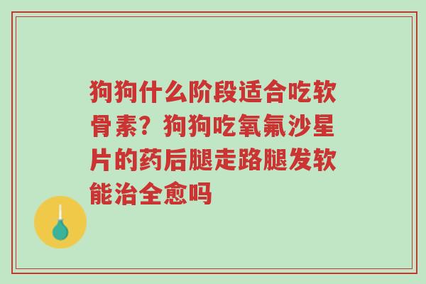 狗狗什么阶段适合吃软骨素?狗狗吃氧氟沙星片的药后腿走路腿发软能治全愈吗-第1张图片-超越 狗狗什么阶段适合吃软骨素?狗狗吃氧氟沙星片的药后腿走路腿发软能治全愈吗-第1张图片-超越