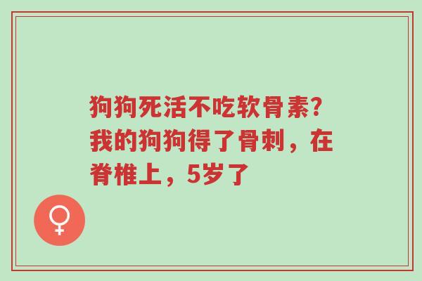 狗狗死活不吃软骨素?我的狗狗得了骨刺,在脊椎上,5岁了-第1张图片-超越 狗狗死活不吃软骨素?我的狗狗得了骨刺,在脊椎上,5岁了-第1张图片-超越