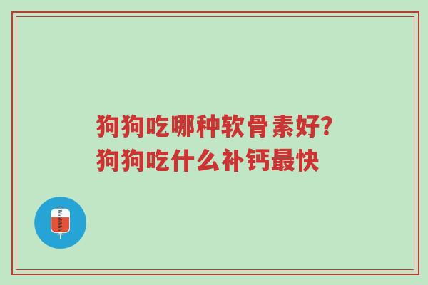 狗狗吃哪种软骨素好?狗狗吃什么补钙最快-第1张图片-超越 狗狗吃哪种软骨素好?狗狗吃什么补钙最快-第1张图片-超越