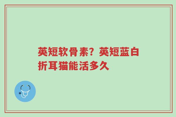 英短软骨素?英短蓝白折耳猫能活多久-第1张图片-超越 英短软骨素?英短蓝白折耳猫能活多久-第1张图片-超越