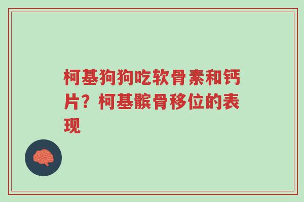 柯基狗狗吃软骨素和钙片?柯基髌骨移位的表现-第1张图片-超越 柯基狗狗吃软骨素和钙片?柯基髌骨移位的表现-第1张图片-超越