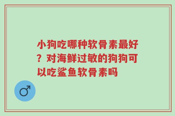 小狗吃哪种软骨素最好?对海鲜过敏的狗狗可以吃鲨鱼软骨素吗-第1张图片-超越 小狗吃哪种软骨素最好?对海鲜过敏的狗狗可以吃鲨鱼软骨素吗-第1张图片-超越