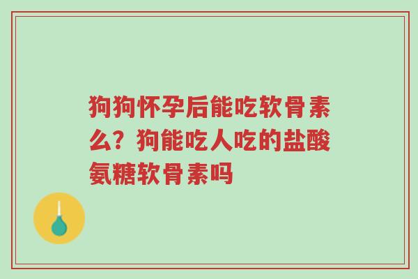 狗狗怀孕后能吃软骨素么?狗能吃人吃的盐酸氨糖软骨素吗-第1张图片-超越 狗狗怀孕后能吃软骨素么?狗能吃人吃的盐酸氨糖软骨素吗-第1张图片-超越