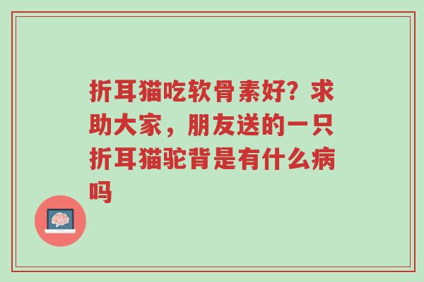 折耳猫吃软骨素好?求助大家,朋友送的一只折耳猫驼背是有什么病吗-第1张图片-超越 折耳猫吃软骨素好?求助大家,朋友送的一只折耳猫驼背是有什么病吗-第1张图片-超越