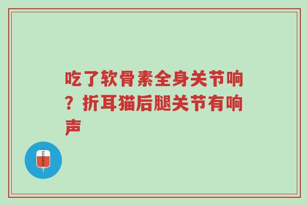 吃了软骨素全身关节响?折耳猫后腿关节有响声-第1张图片-超越 吃了软骨素全身关节响?折耳猫后腿关节有响声-第1张图片-超越